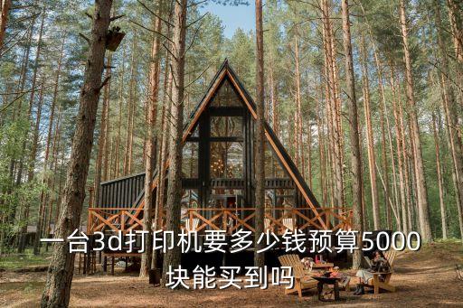 一臺3d打印機要多少錢預(yù)算5000塊能買到嗎