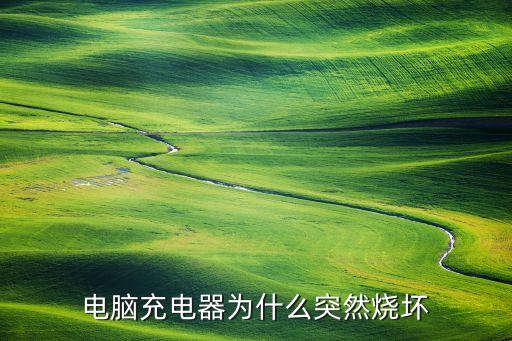 電腦充電器為什么突然燒壞