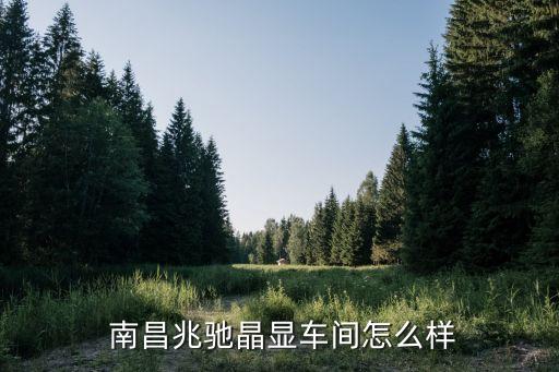  南昌兆馳晶顯車(chē)間怎么樣