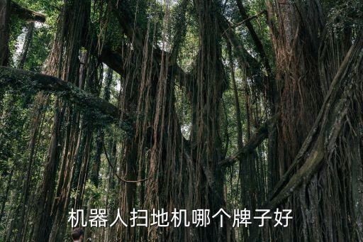 商用保潔機(jī)器人,普渡商用清潔機(jī)器人可以用在哪些場景?