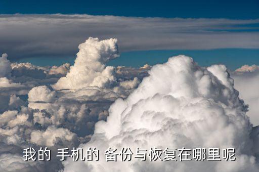 我的 手機(jī)的 備份與恢復(fù)在哪里呢