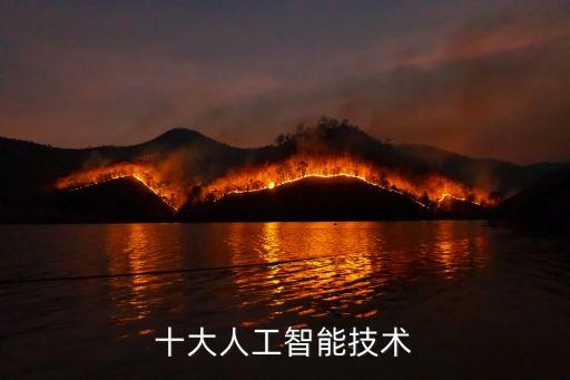 十大人工智能技術(shù)