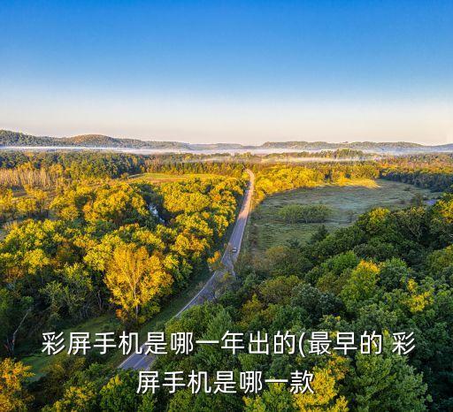 彩屏手機(jī),手機(jī)屏幕摔后出現(xiàn)彩屏怎么辦?