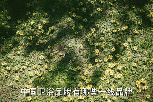 中國(guó)衛(wèi)浴品牌有哪些一線品牌