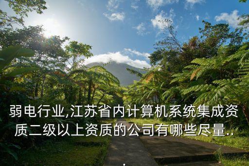 弱電行業(yè),江蘇省內(nèi)計(jì)算機(jī)系統(tǒng)集成資質(zhì)二級(jí)以上資質(zhì)的公司有哪些盡量...