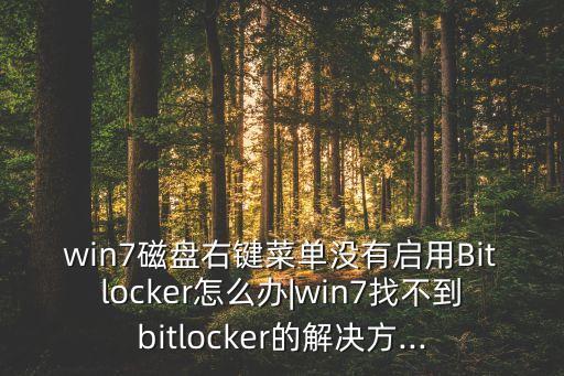 win7磁盤(pán)右鍵菜單沒(méi)有啟用Bitlocker怎么辦|win7找不到bitlocker的解決方...