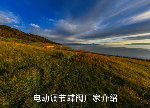 電動(dòng)調(diào)節(jié)蝶閥廠家介紹