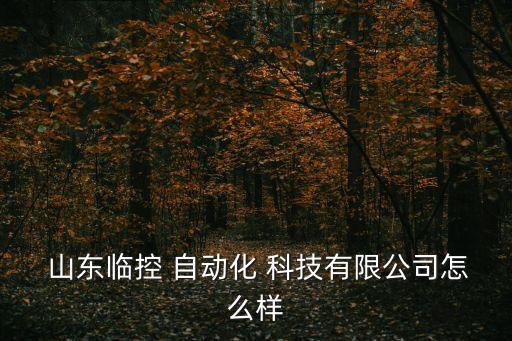  山東臨控 自動化 科技有限公司怎么樣