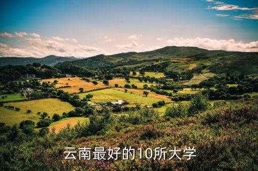 云南農(nóng)業(yè)大學(xué)的電氣自動化排名