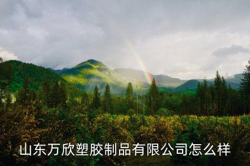萊蕪市萬欣自動(dòng)化設(shè)備