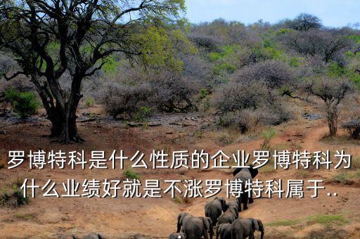 羅博特科是什么性質(zhì)的企業(yè)羅博特科為什么業(yè)績(jī)好就是不漲羅博特科屬于...