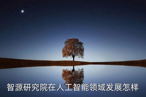 智源研究院在人工智能領域發(fā)展怎樣