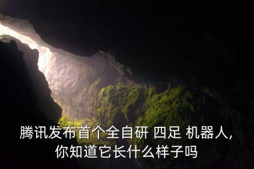 騰訊發(fā)布首個全自研 四足 機(jī)器人,你知道它長什么樣子嗎
