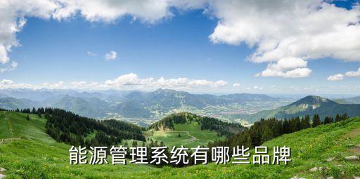 山東智源自動(dòng)化技術(shù)公司,中機(jī)能源科技有限公司是國(guó)企嗎?