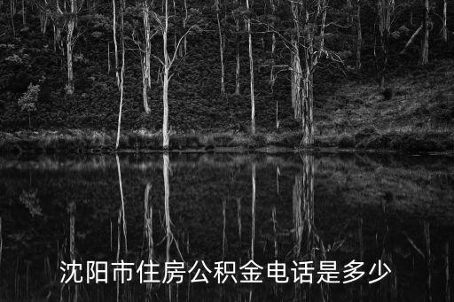 大數(shù)據(jù)發(fā)展最好的城市,大數(shù)據(jù)適合去哪些城市發(fā)展?