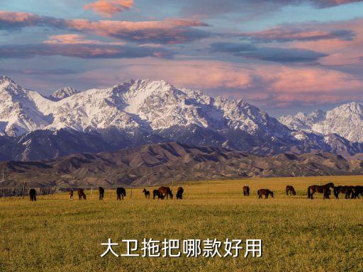 大衛(wèi)拖把哪款好用