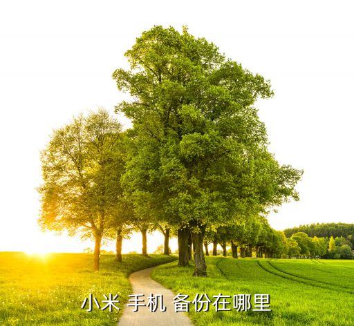 小米 手機(jī) 備份在哪里