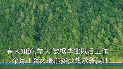 有人知道,學(xué)大 數(shù)據(jù)畢業(yè)以后工作一個(gè)月工資大概能多少錢求答復(fù)!!!