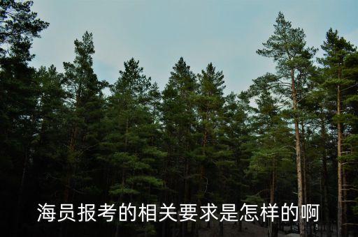 上海船舶自動化設備,上海海事大學王牌專業(yè)有哪些呢?