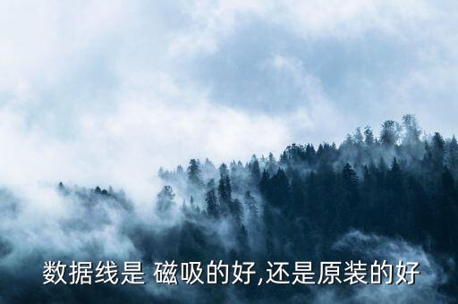 type c 磁吸數據線,磁吸快充數據線好不好