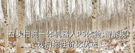 石頭掃拖一體機器人P5體驗:智能規(guī)劃掃拖性價比優(yōu)選