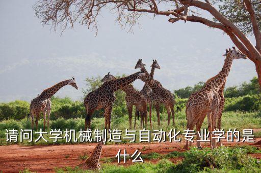 大學(xué)自動(dòng)化專業(yè)基礎(chǔ)課程,電氣自動(dòng)化專業(yè)要學(xué)什么課程?