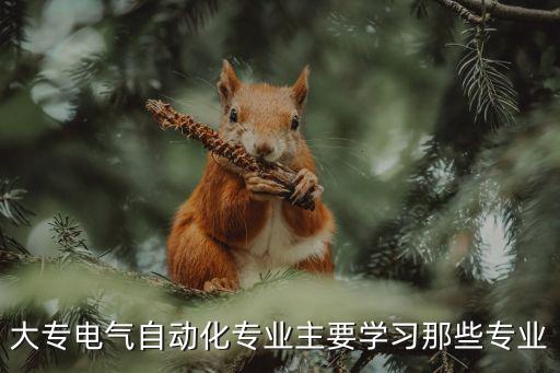 大專電氣自動(dòng)化專業(yè)主要學(xué)習(xí)那些專業(yè)