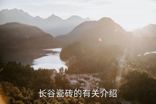陶瓷設(shè)備自動(dòng)化公司簡(jiǎn)介,陶瓷公司簡(jiǎn)介范文大全