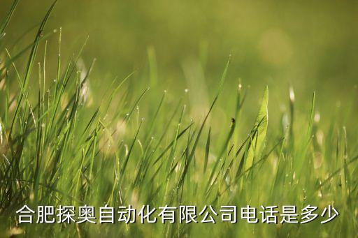 合肥探奧自動(dòng)化有限公司電話是多少