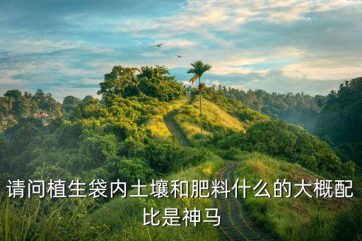 可降解袋自動(dòng)化設(shè)備,opp塑料袋怎么做?
