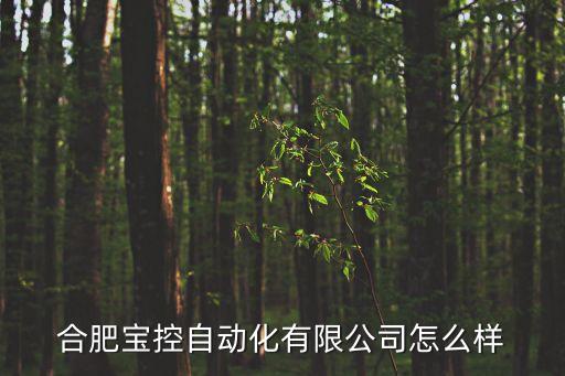 合肥自動(dòng)化的公司有哪些,合肥寶控自動(dòng)化有限公司怎么樣?