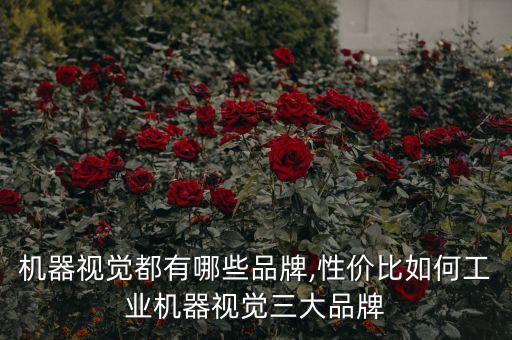 國(guó)揚(yáng)自動(dòng)化科技有限公司,本地哪些無(wú)人機(jī)企業(yè)上市了?