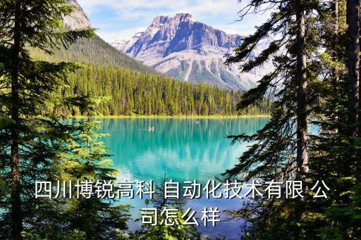 四川最大的自動(dòng)化公司排名,電氣工程及其自動(dòng)化專業(yè)四川排名