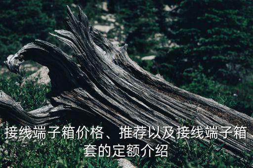 自動化電氣柜報價明細表,非標自動化報價明細表