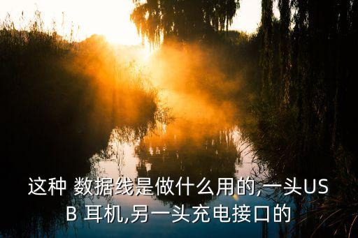 這種 數(shù)據(jù)線是做什么用的,一頭USB 耳機(jī),另一頭充電接口的