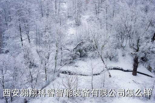 漢南自動化研發(fā)公司地址,中國最好的機(jī)器人公司之一