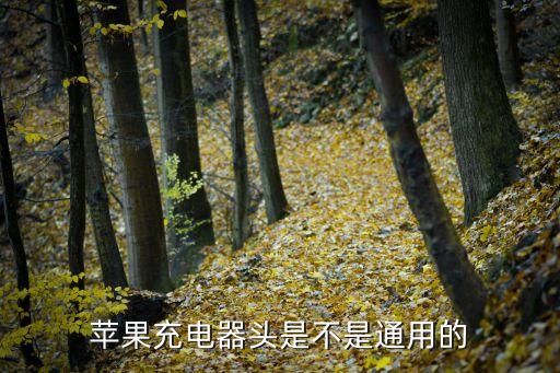 蘋(píng)果充電器頭是不是通用的