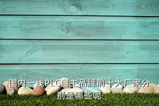 國內一線PLC自主品牌前十大廠家分別是哪些呢