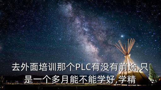 去外面培訓(xùn)那個PLC有沒有前途,只是一個多月能不能學(xué)好,學(xué)精