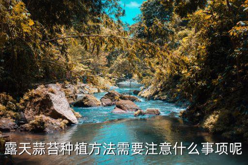 露天蒜苔種植方法需要注意什么事項(xiàng)呢