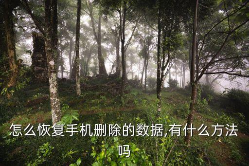 怎么恢復(fù)手機(jī)刪除的數(shù)據(jù),有什么方法嗎