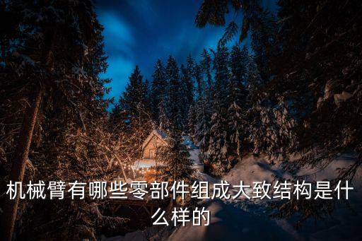 機械臂有哪些零部件組成大致結(jié)構(gòu)是什么樣的