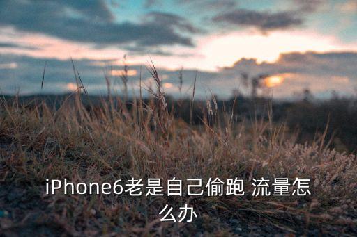 蘋果6怎樣關(guān)數(shù)據(jù)流量套餐,蘋果手機(jī)怎樣設(shè)置數(shù)據(jù)流量使用情況