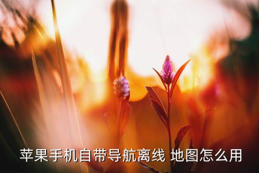 蘋果地圖使用數(shù)據(jù)連接,蘋果數(shù)據(jù)打開了為什么還是無法連接網(wǎng)絡(luò)