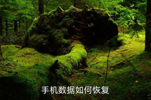 手機(jī)數(shù)據(jù)如何恢復(fù)