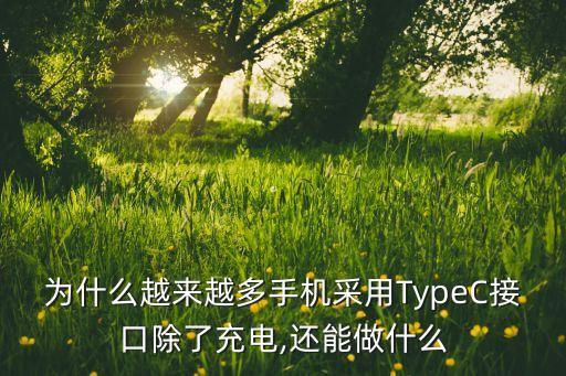 為什么越來(lái)越多手機(jī)采用TypeC接口除了充電,還能做什么