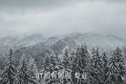 IT都有哪些 專業(yè)