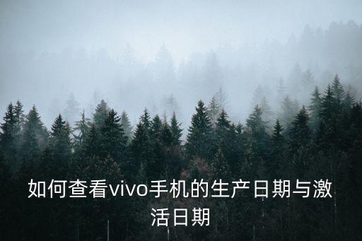 在哪看自動化設(shè)備生產(chǎn)日期,怎么查看手機(jī)生產(chǎn)日期?