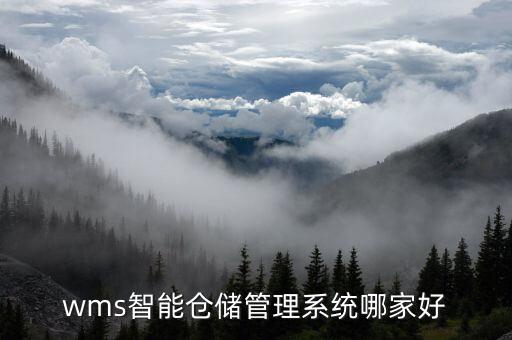 廣西自動化智能倉儲公司,智能倉儲公司排名不錯(cuò)的有哪些?