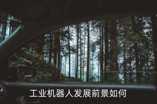 機(jī)器人設(shè)計(jì)的發(fā)展,仿人機(jī)器人發(fā)展歷史及未來發(fā)展前景